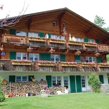 Appartement Burgstein, Silberdistel Grindelwald