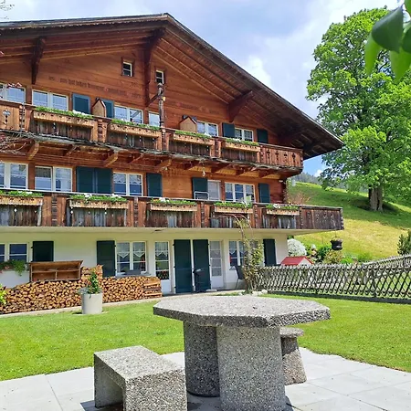 Appartement Burgstein, Silberdistel Grindelwald